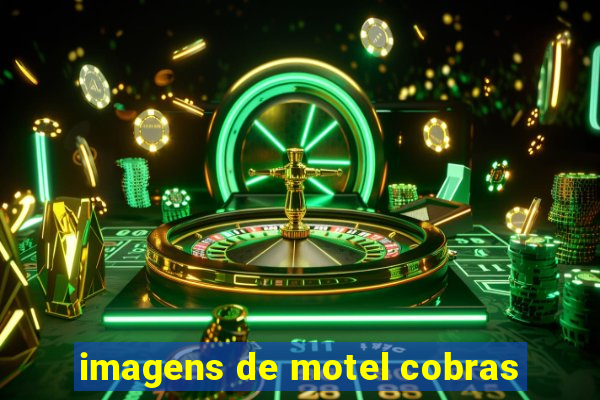 imagens de motel cobras